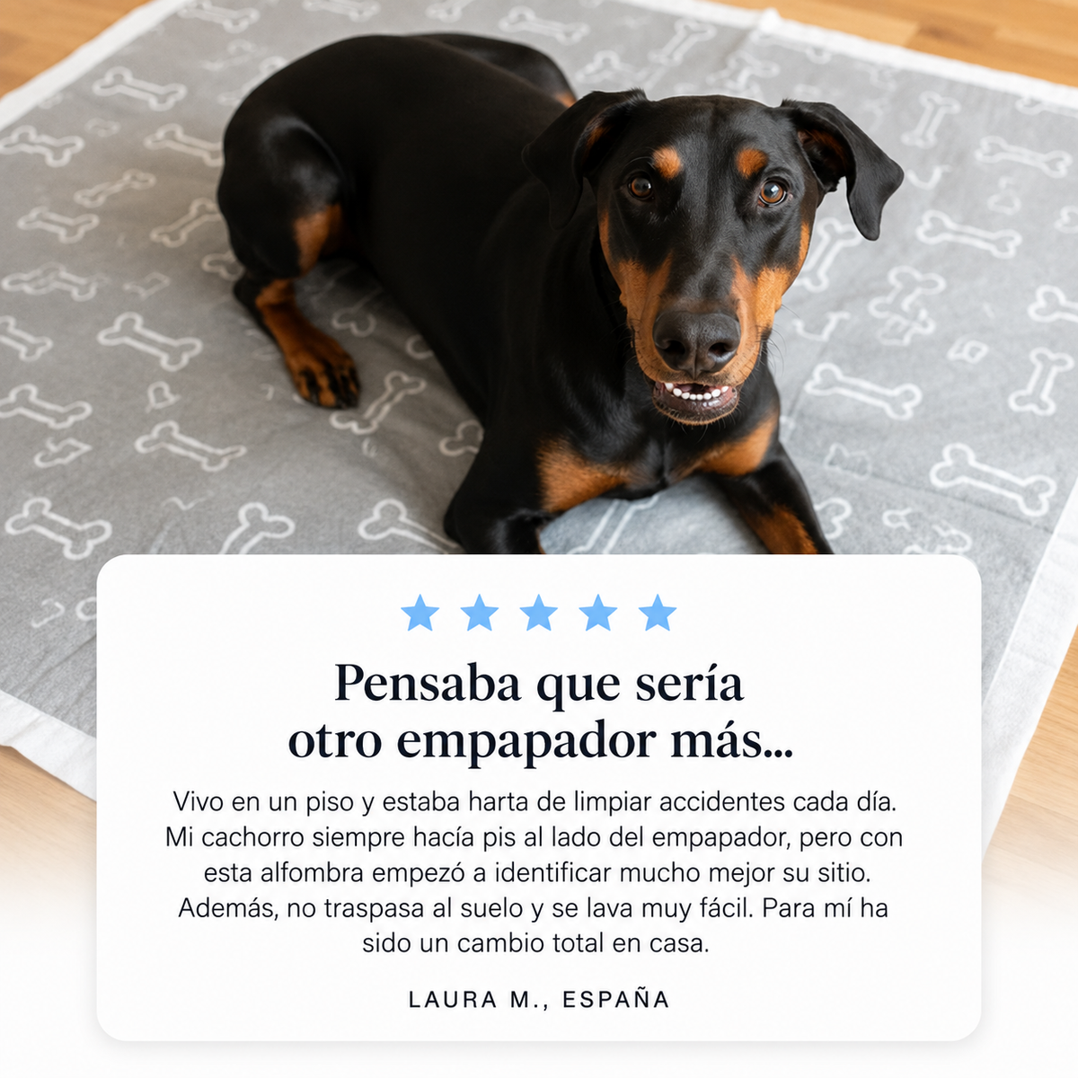 Empapador Reutilizable con Atrayente para Perros