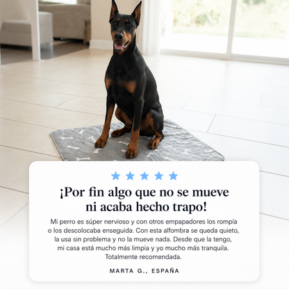 Empapador Reutilizable con Atrayente para Perros
