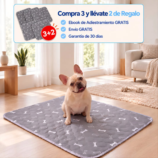 Empapador Reutilizable con Atrayente para Perros