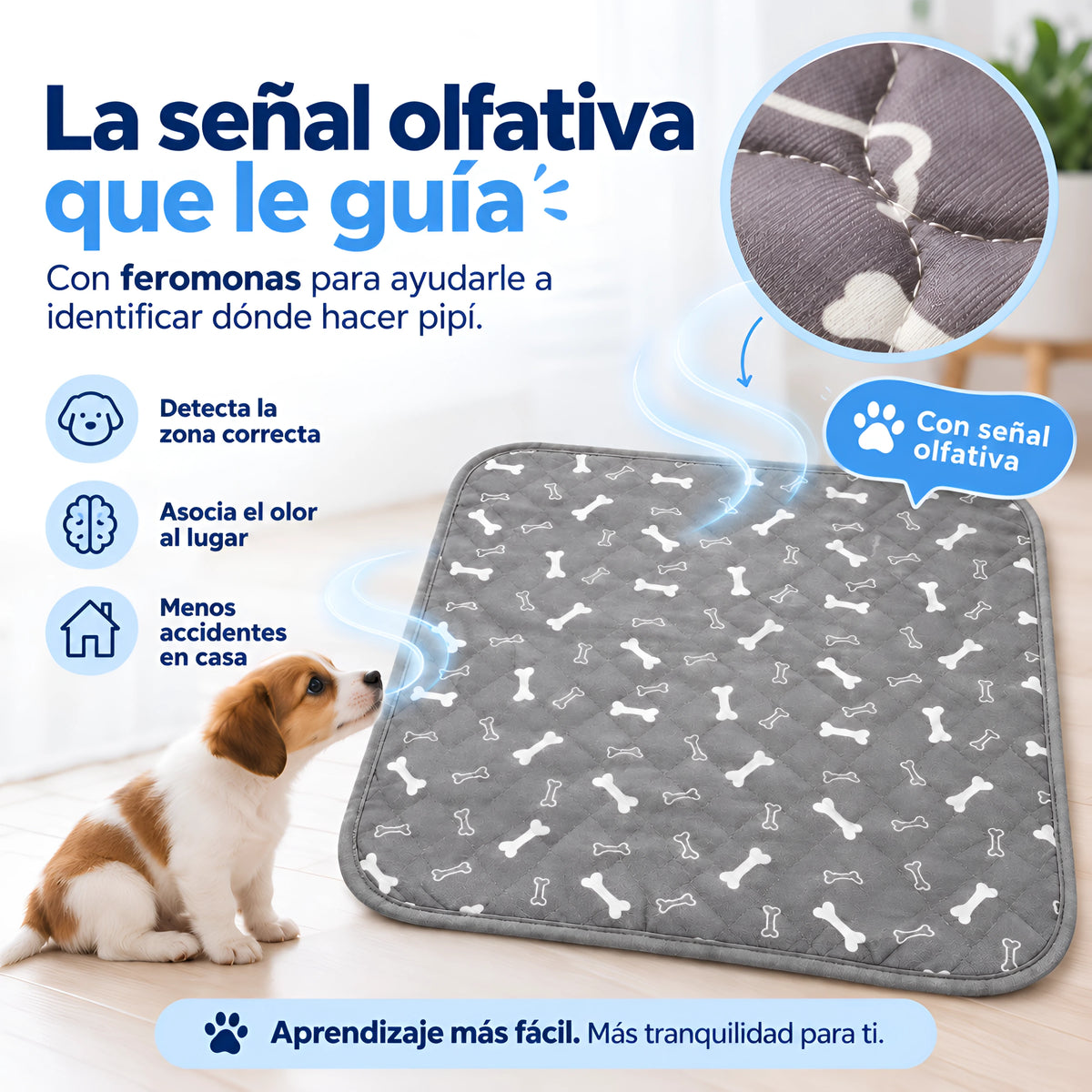 Empapador Reutilizable con Atrayente para Perros